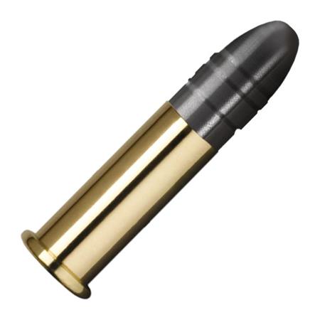 Munitions 22lr